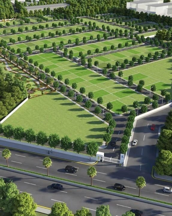 Commercial Plots